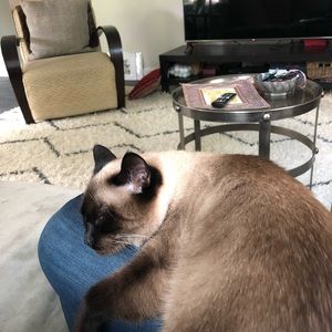 Meet your Posher, Lara